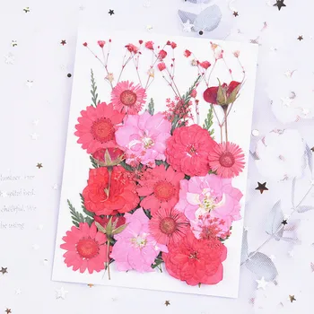 1Set Lisované Kvety, Malé Sušené Kvety Scrapbooking Suché DIY Konzervované Kvetinová Výzdoba Domov Mini Kvetinová Výzdoba