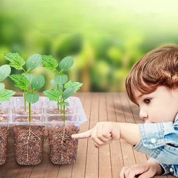Rastlina, Kvet Škôlky Hrnce Podnos Plastový záhradný Semien Pestovanie Box Vložiť Sadeníc Prípade s Vekom, Záhrada Dodávky 12 Otvorov