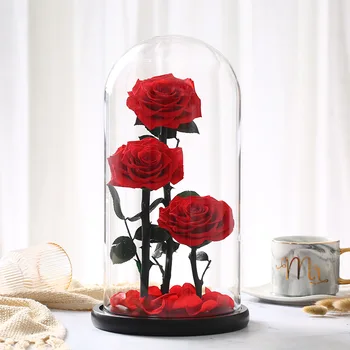 3 Večný Ruží V Sklenený Kryt Konzervované Čerstvé Ruže Reálne Ruže Veľké Rose Valentína Darček Romantické Ruže Lásky Darček Ruže