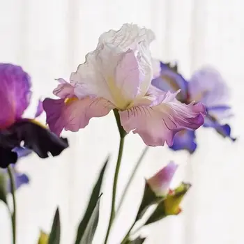 76 cm Hodváb Írsky Umelé Kvety Alice Iris Domova Svadobné Dekorácie, Party DIY Dlho Falošné Kvet HQ Motýľ Orchidea