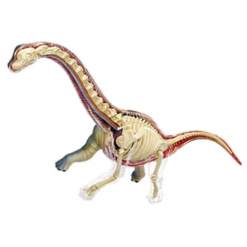 4D Brachiosaurus Inteligencie Montáž Hračka Zvierat Orgán Anatómie Model Lekárske Výučby DIY Popular Science Spotrebiče